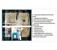 Астра 50 - фото 2